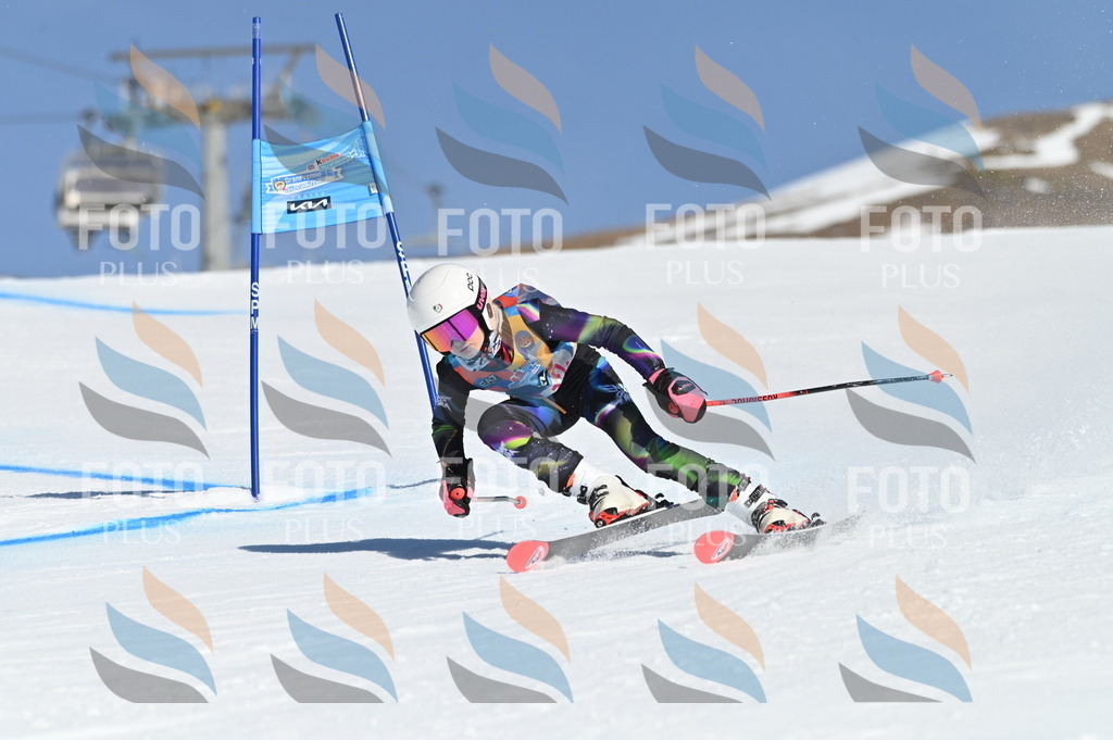 BGV_7798 | holidayphoto