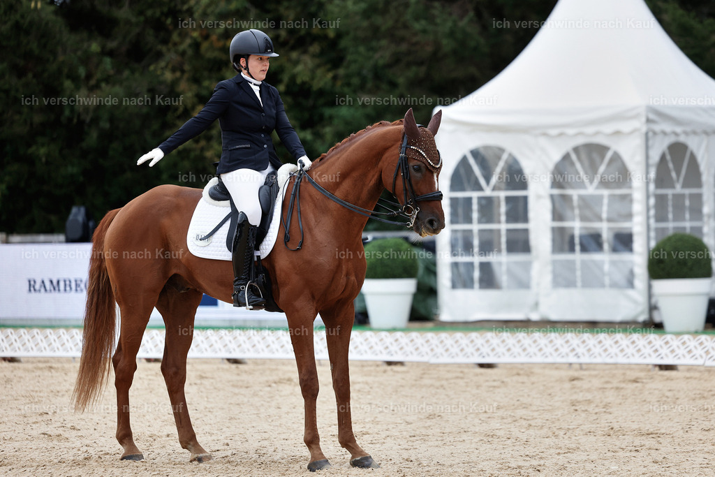 3-111-Dressur M_-StoibPH-2318 | working equitationturnier fotograf videograf stoibphotography marixx film working equitation deutschland reitsport turnierfotografie eventfotografie equestrian events