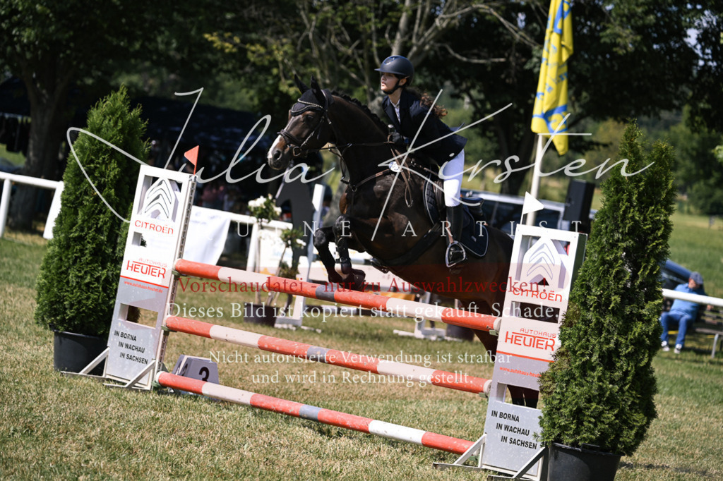DSC_0447 | Pferde- und Turnierfotografie in Westsachsen. Pferdeportraits, Auftragszeichnungen und intuitive Kunst.