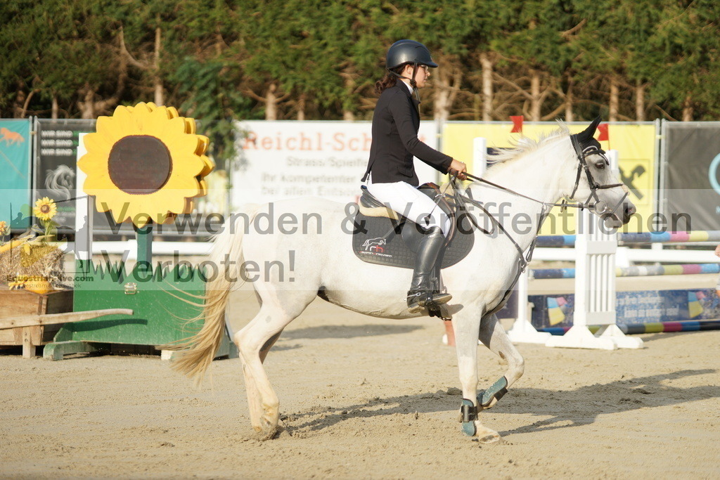 DSC01567 | equestrian-live-com