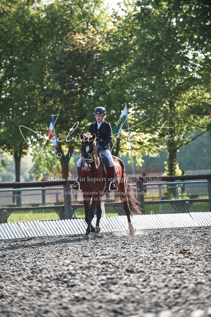 DSC_8282 | Pferde- und Turnierfotografie in Westsachsen. Pferdeportraits, Auftragszeichnungen und intuitive Kunst.