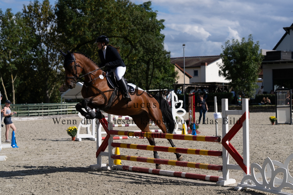 A7V07617 | Pferdefotograf