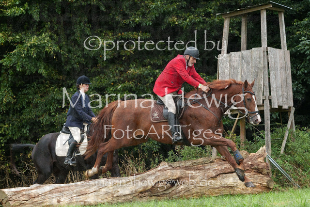 Jagd Perdoel_MarinaHewigMCH03990 | Fotografie, FotoArt, PferdesportArt, Pferdesportfotografie, Landschaftsfotografie, Reisefotografie, Reise, Pferde - Realisiert mit Pictrs.com