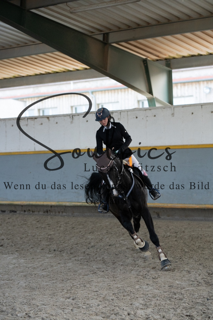 A7V02675 | Pferdefotograf