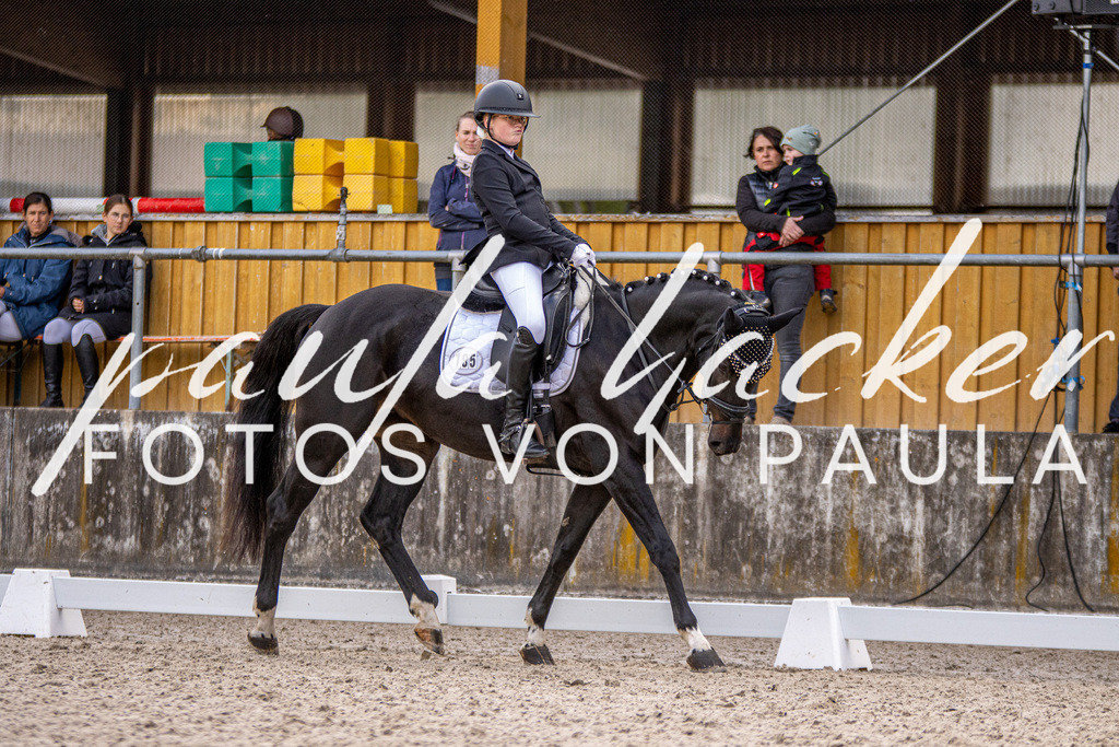 IMG_3698 | Erleben Sie dynamische Sport- und emotionale Tierfotografie in Süddeutschland mit Fotos von Paula. Spezialisiert auf Pferde- und Hundefotografie sowie Sportevents. Kontaktieren Sie mich für einzigartige und ausdrucksstarke Bilder Ihrer besonderen Momente. - Realisiert mit Pictrs.com