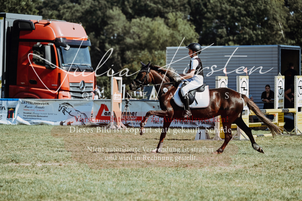 DSC_6902 | Pferde- und Turnierfotografie in Westsachsen. Pferdeportraits, Auftragszeichnungen und intuitive Kunst.
