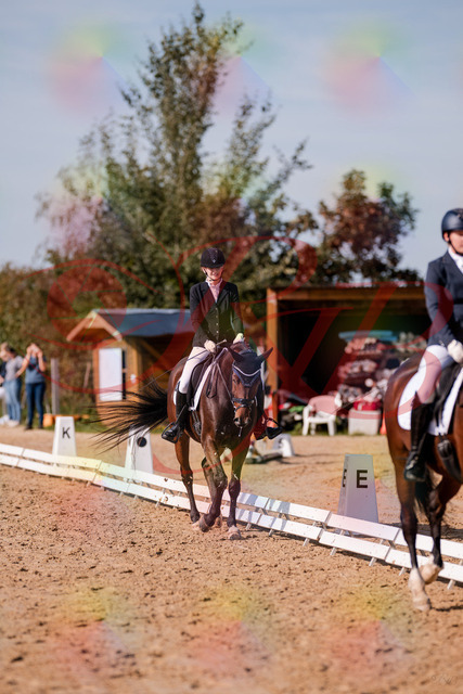 2026_10_03_Siefer-Hof_125533_Z81_44746615 | Professionelle Reitsport-, Turnier- und Eventfotografie von Robert Broda. Galerien mit ausgewählten und bearbeiteten Bildern direkt online ansehen und bestellen.