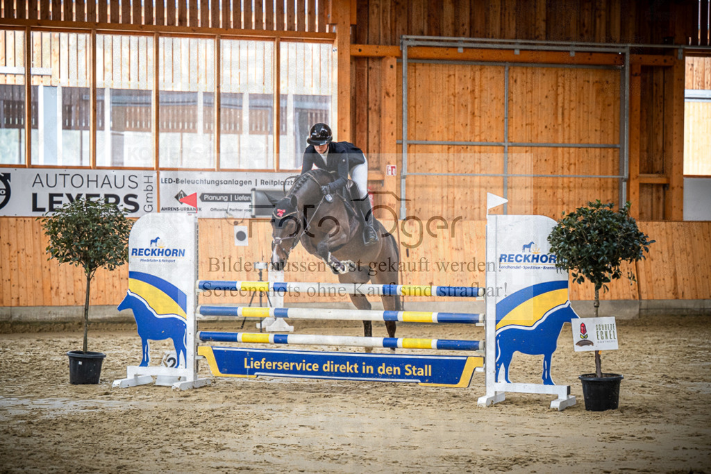 DOS_1574 | Entdecke hochwertige Reitturnierfotos von Foto Oger. Professionell, emotional und authentisch – jetzt Lieblingsmomente im Shop bestellen.Deutschlandweite Turnierfotografie. - Realisiert mit Pictrs.com