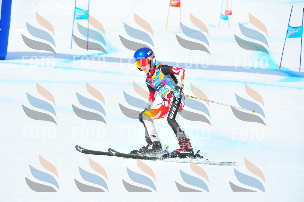 DSC_2982 | holidayphoto