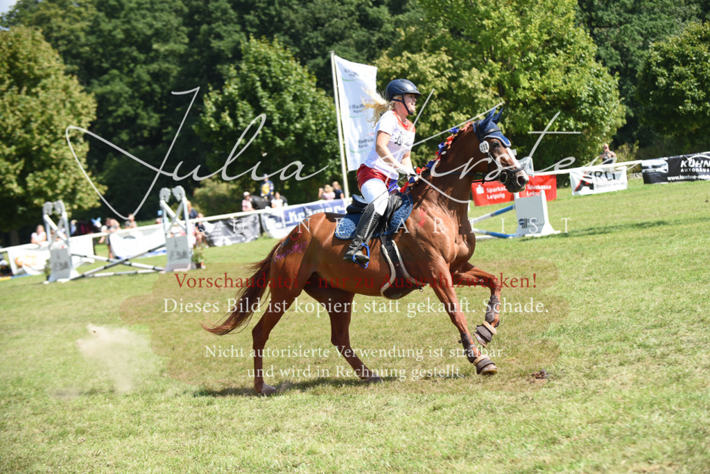 DSC_0335 | Pferde- und Turnierfotografie in Westsachsen. Pferdeportraits, Auftragszeichnungen und intuitive Kunst.