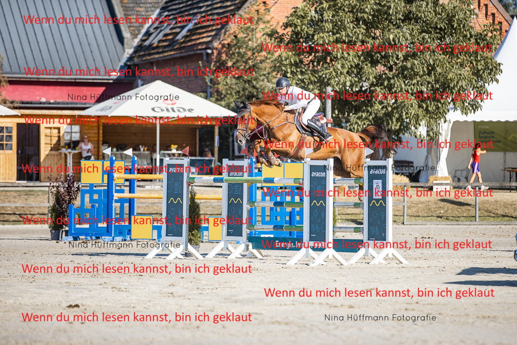 BK1A8606 | Turnierbilder Turnierfotos Nina Hüffmann Turnierfotografie Pferdefotografie Tierzeichnung Haustierzeichnung Pferdezeichnung Hundezeichnung Videograf  - Realisiert mit Pictrs.com