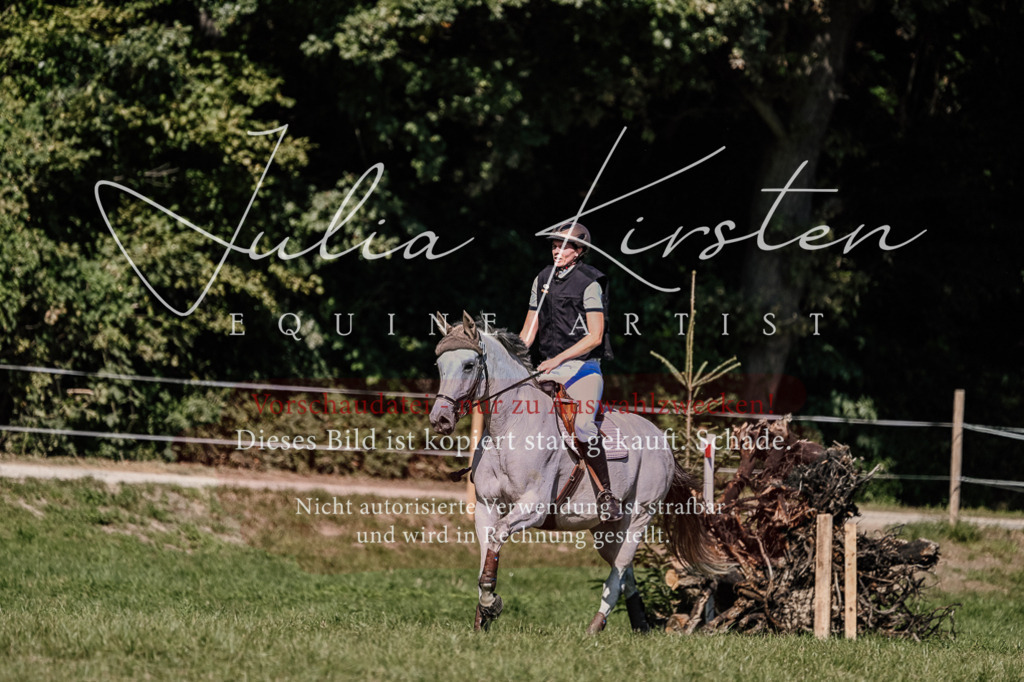 DSC_2871 | Pferde- und Turnierfotografie in Westsachsen. Pferdeportraits, Auftragszeichnungen und intuitive Kunst.