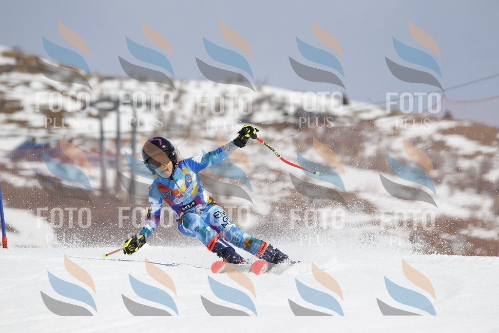 _U3G1653 | holidayphoto