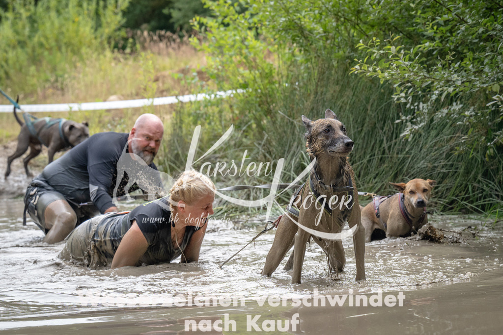 1449_ZZ93888 | kk-dogfotos