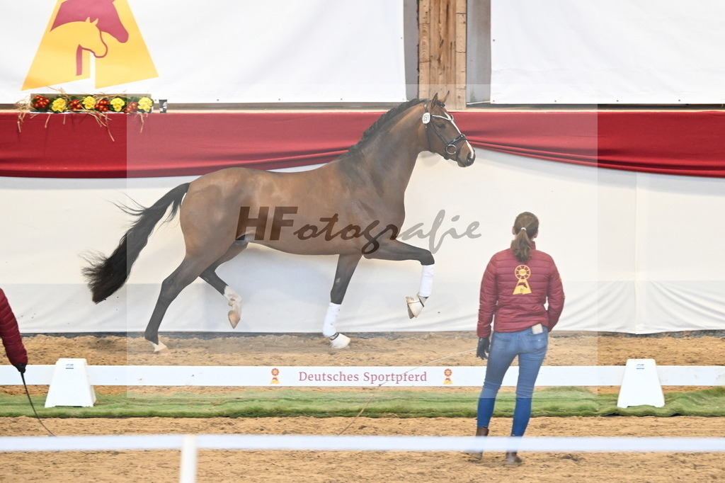 Kat.-Nr. 51 v. Fanegro_Gaab_3260528 | hf-fotografie - Realisiert mit Pictrs.com