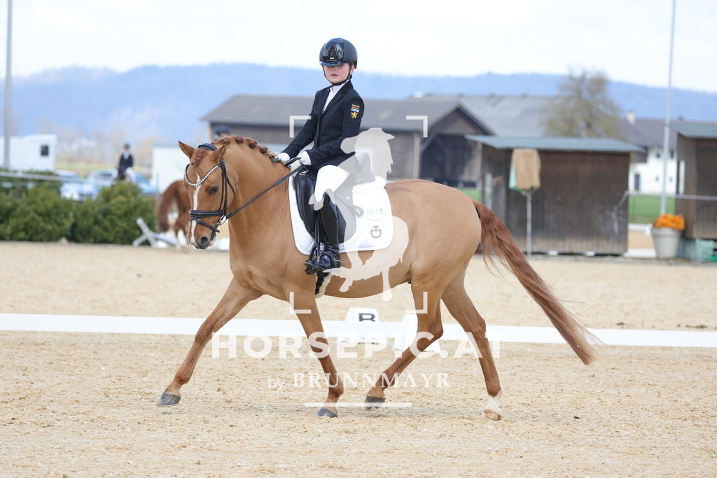 0P6A6772 | Willkommen bei Brunnmayr - Design & Fotografie – Ihrem Spezialisten für Reitturniere und Pferdeveranstaltungen in Oberösterreich, Salzburg und Bayern! Seit über 17 Jahren sind wir leidenschaftlich dabei.
