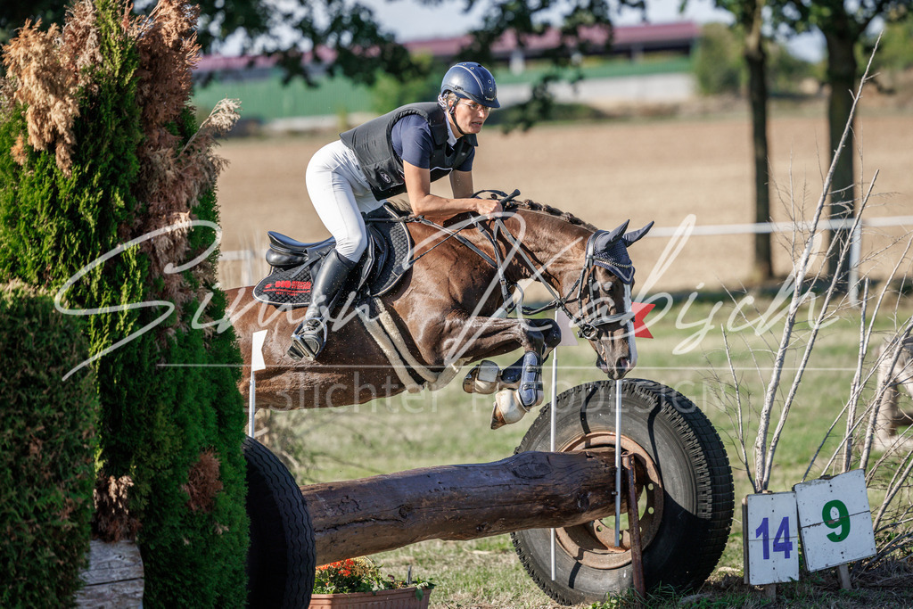 20260905-_3LI0506 | Tierfotografie Pferde, Hunde, Katzen, Haustiere.
Turnierfotografie Reitturniere, Reiten, Springreiten, Dressur in Hanau, dem Main-Kinzig-Kreis und dem Rhein-Main- Gebiet um Frankfurt