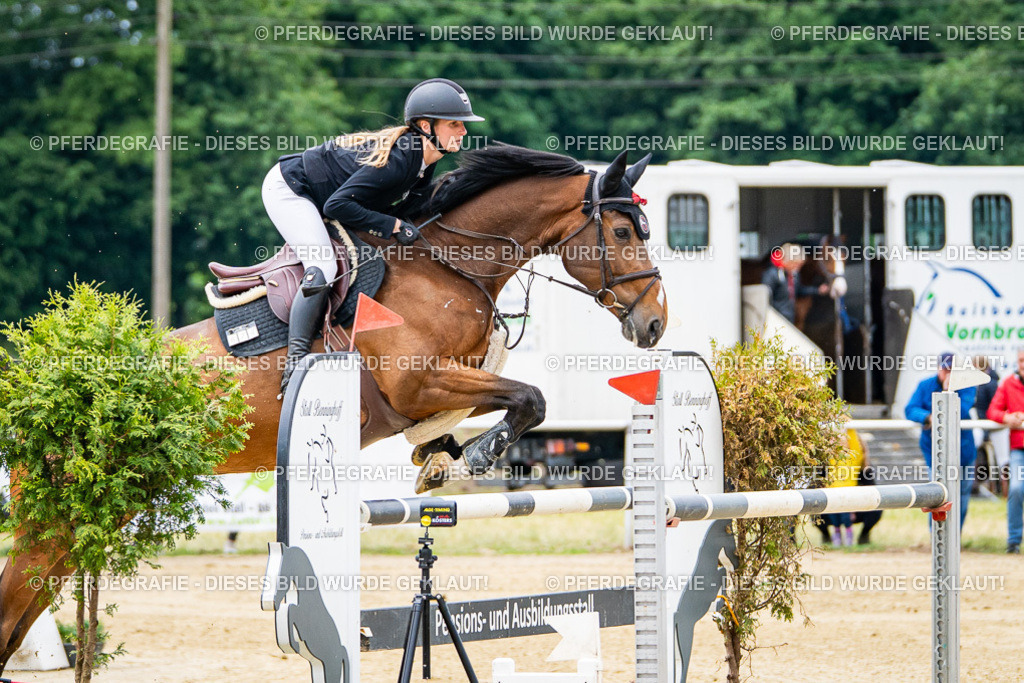 DSC06558 | Pferdegrafie