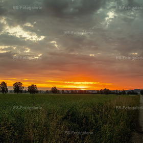 Abendstimmung