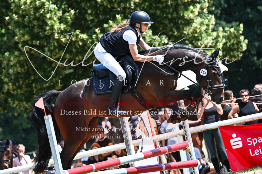 DSC_9987 | Pferde- und Turnierfotografie in Westsachsen. Pferdeportraits, Auftragszeichnungen und intuitive Kunst.