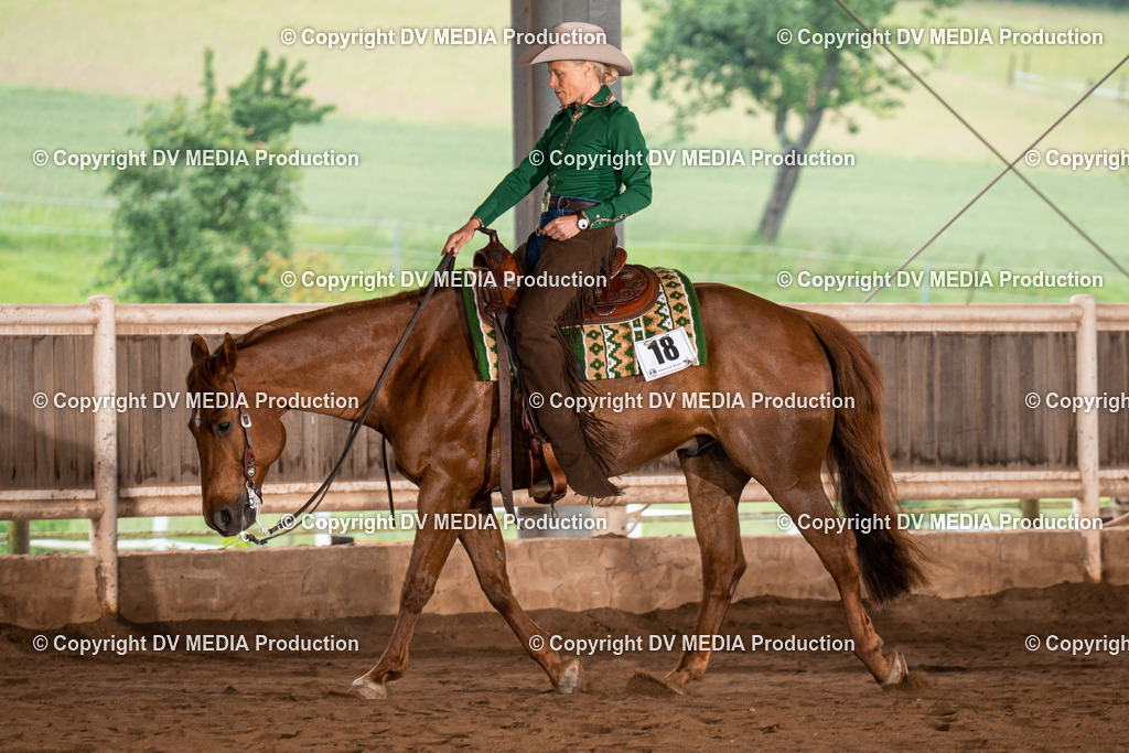 Erbach Tag 3-201 | dv-media-shop - Realisiert mit Pictrs.com