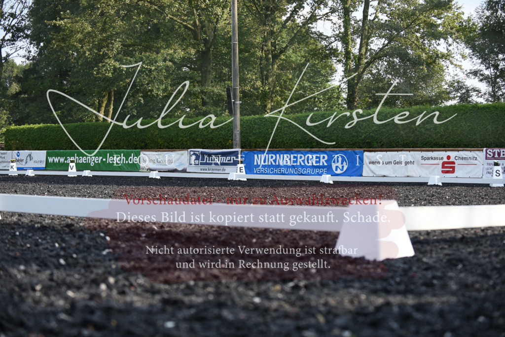 DSC_3249 | Pferde- und Turnierfotografie in Westsachsen. Pferdeportraits, Auftragszeichnungen und intuitive Kunst.