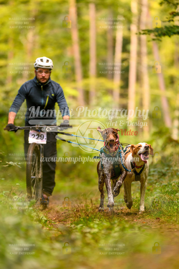 MompixPhotography_Yens2025_B2-150 | PayLife