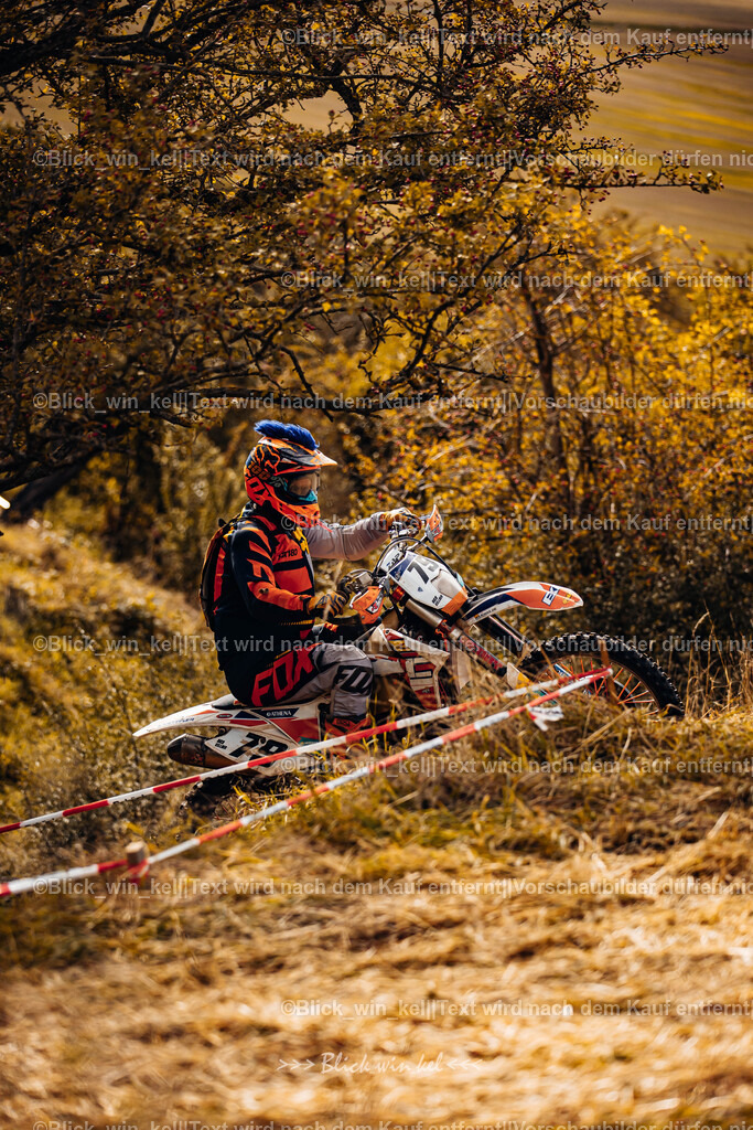 E68A3118 | blick_win_kel