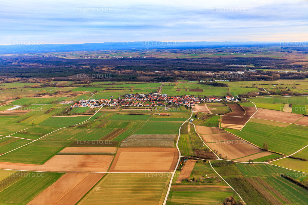 Luftbild: Ortsansicht aus Norden in Schweighofen im Bundesland Rheinland-Pfalz in Deutschland. Foto: IMG_126144.jpg vom 20.03.2021 durch Werner Riehm/FLY-FOTO.de