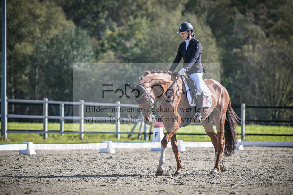 DOS_3354 | Entdecke hochwertige Reitturnierfotos von Foto Oger. Professionell, emotional und authentisch – jetzt Lieblingsmomente im Shop bestellen.Deutschlandweite Turnierfotografie. - Realisiert mit Pictrs.com