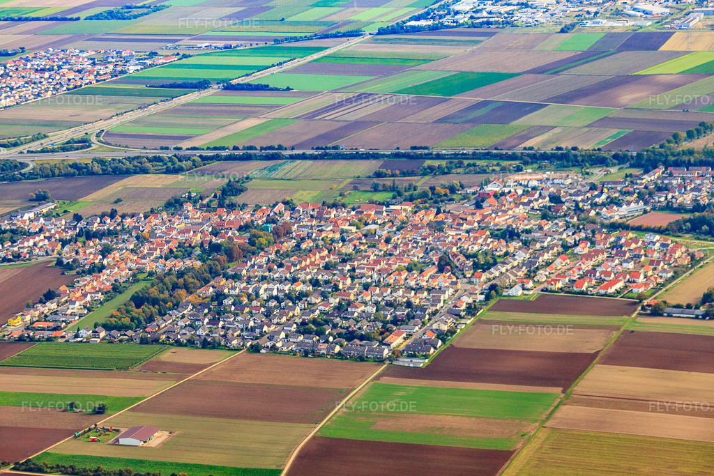 Luftbild: Ortsansicht von Westen in Heßheim im Bundesland Rheinland-Pfalz in Deutschland. Foto: IMG_34400.jpg vom 03.10.2010 durch Werner Riehm/FLY-FOTO.de