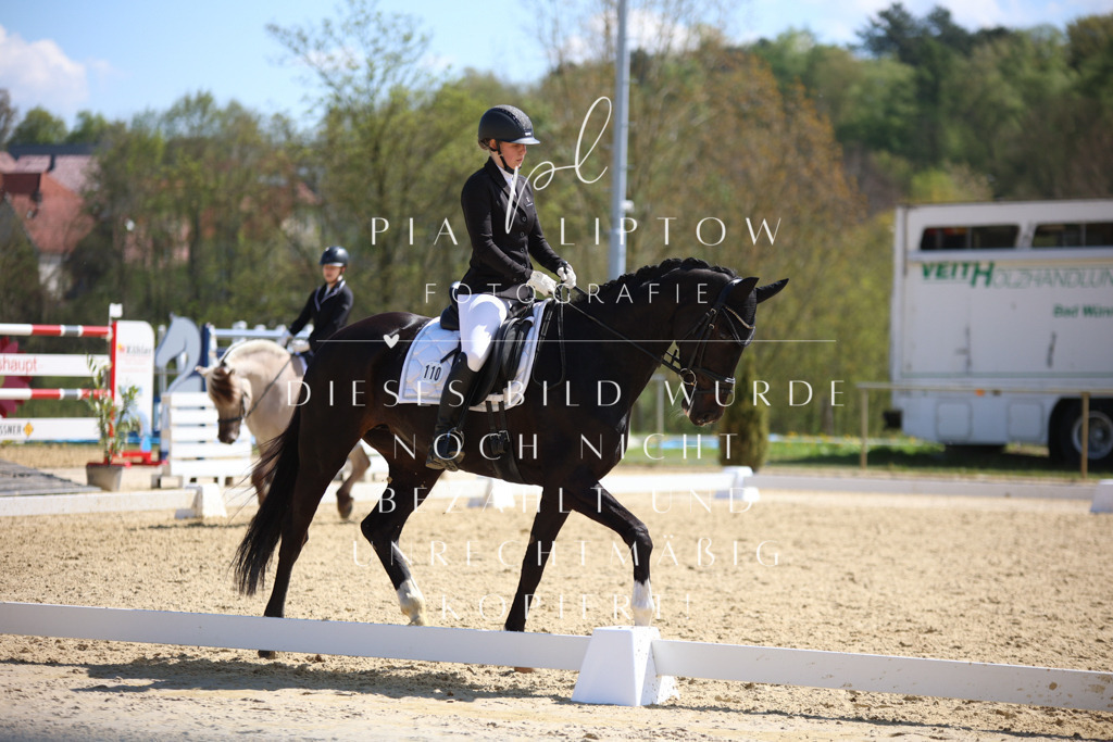 IMGT1997 | pl-fotografie