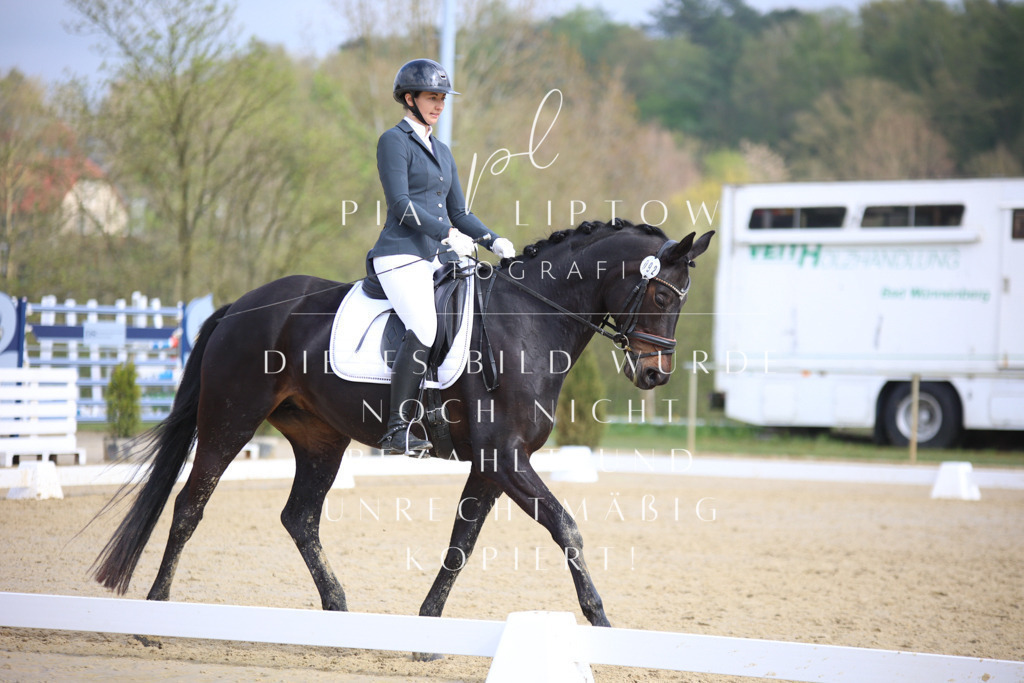 IMGT6355 | pl-fotografie