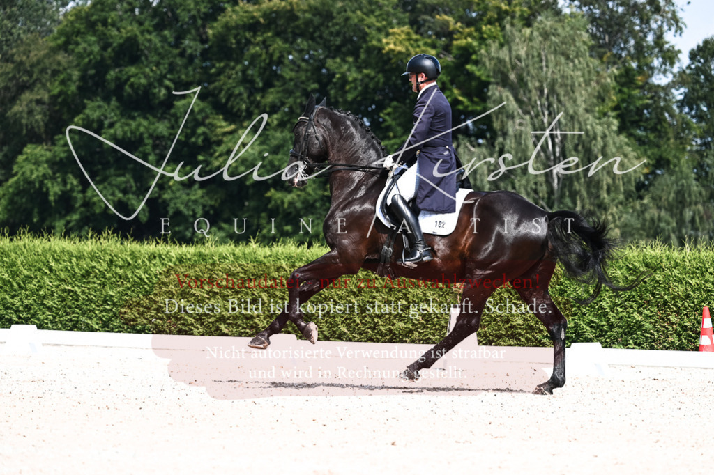 DSC_3033 | Pferde- und Turnierfotografie in Westsachsen. Pferdeportraits, Auftragszeichnungen und intuitive Kunst.