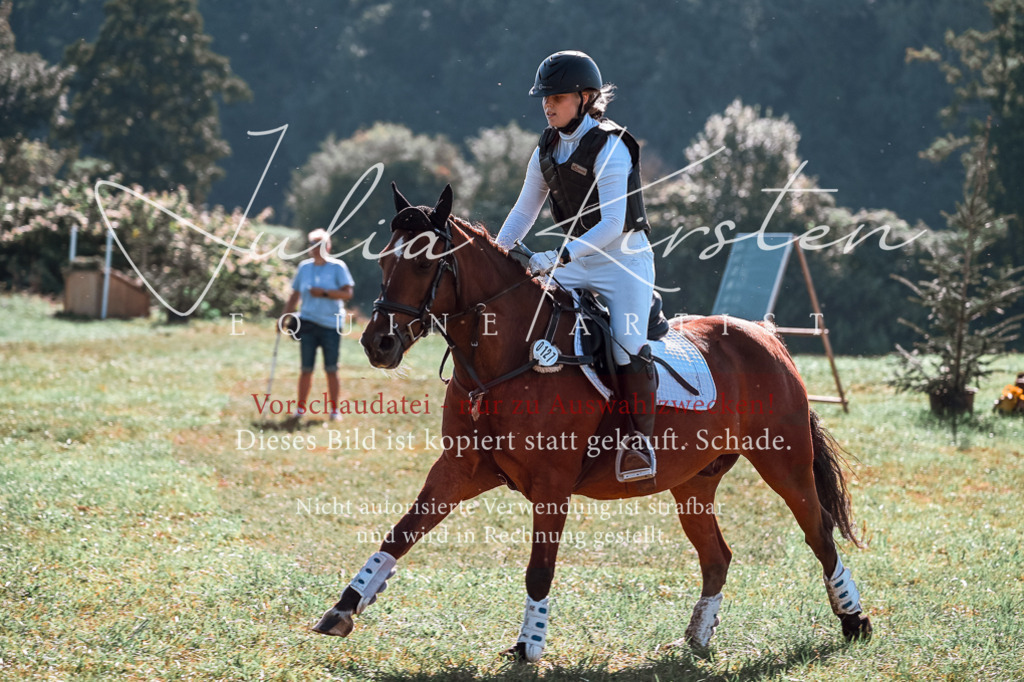 DSC_0621 | Pferde- und Turnierfotografie in Westsachsen. Pferdeportraits, Auftragszeichnungen und intuitive Kunst.
