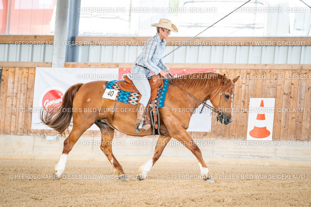 DSC02416 | Pferdegrafie