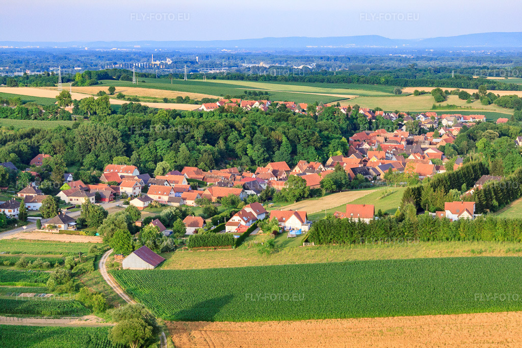 Vue aérienne: Rue de Niederlauterbach à Neewiller-près-Lauterbourg dans le département Bas Rhin, France.Photo: IMG_30634.jpg prise le 09/07/2010 par Werner Riehm/FLY-FOTO.euRésolution de l'original: 4752 x 3168 px
