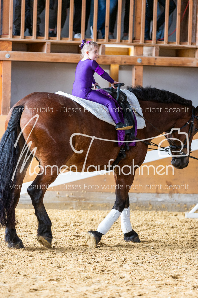 SS-Mini-262 | MomenTaufnahmen Pferdesportfotos