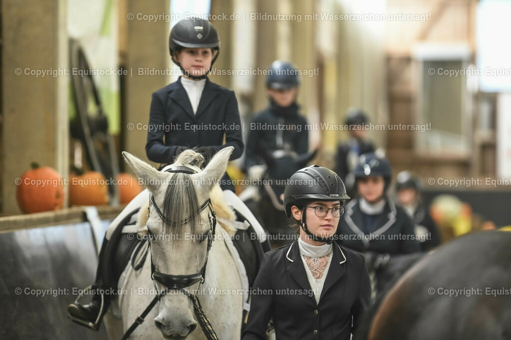 20231029_Führzügel-WB_Abteilung-01_0062 | Foto: Thomas Hartig