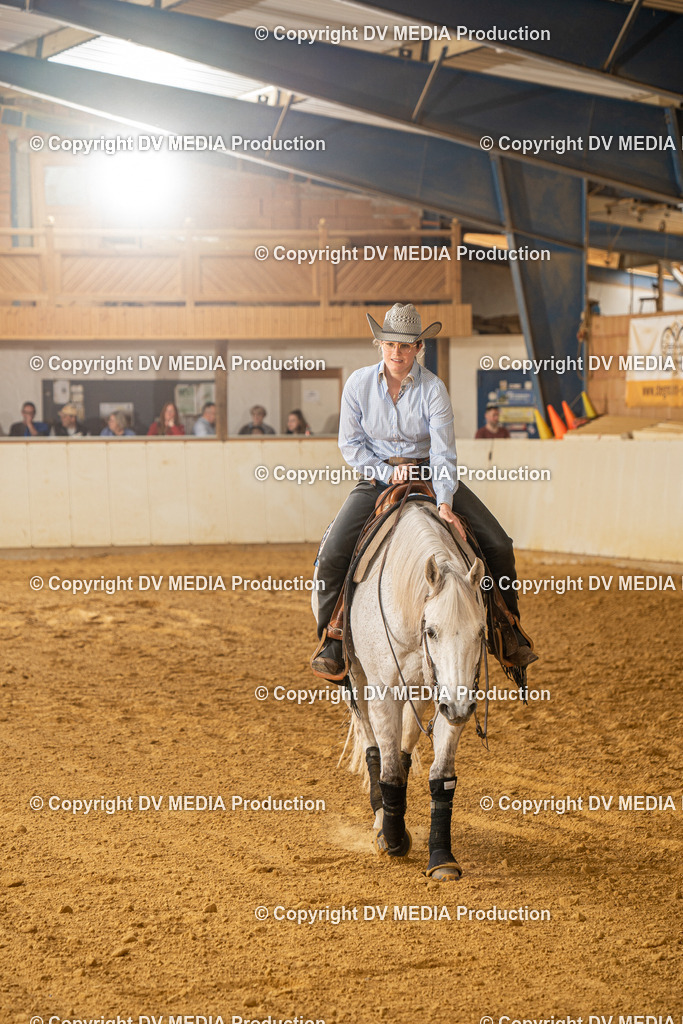 MIT01351 | dv-media-shop - Realisiert mit Pictrs.com