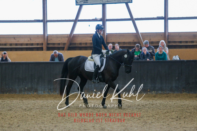 IMG_0637 | Turniersportfotografie; Pferdefotografie; Dressurfotografie