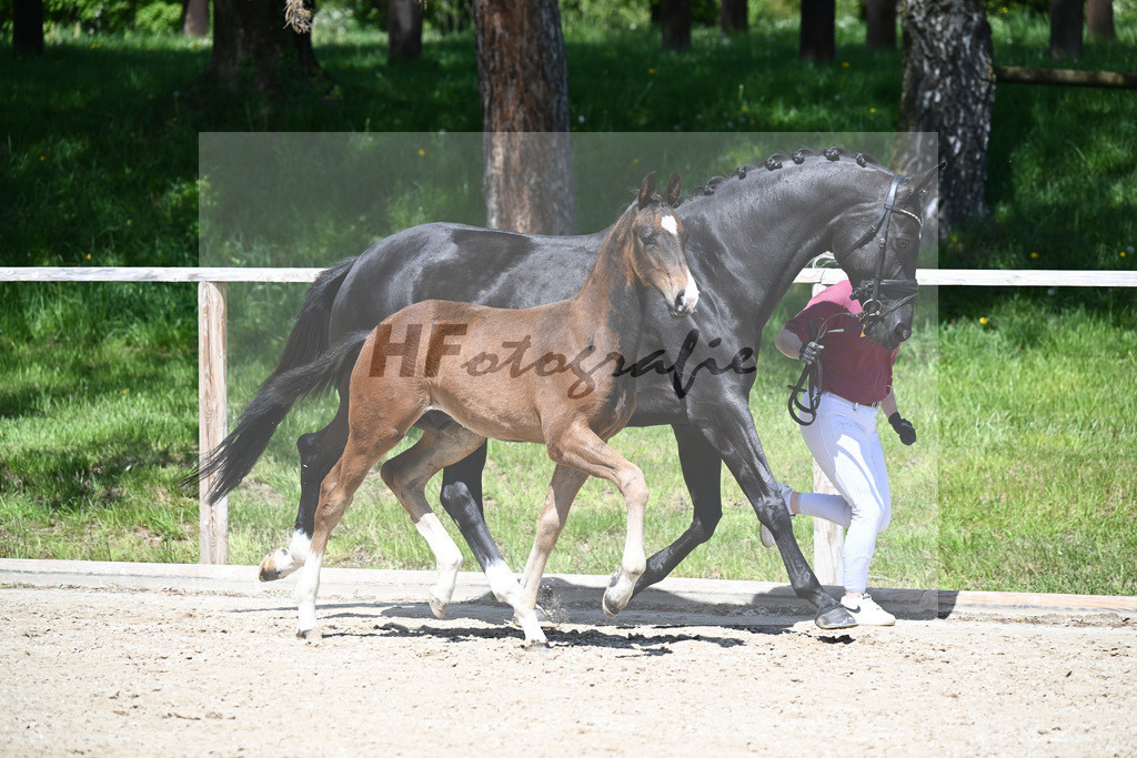 Escaneno x Negro_HF_Eder_11240510 | hf-fotografie - Realisiert mit Pictrs.com