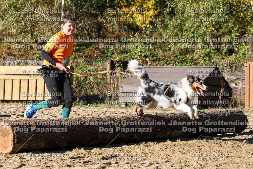 Dog Paparazzi - Strongdog 10-25-2043 | Dog Paparazzi Jeanette Grottendiek Fotografie & Videografie - Realisiert mit Pictrs.com