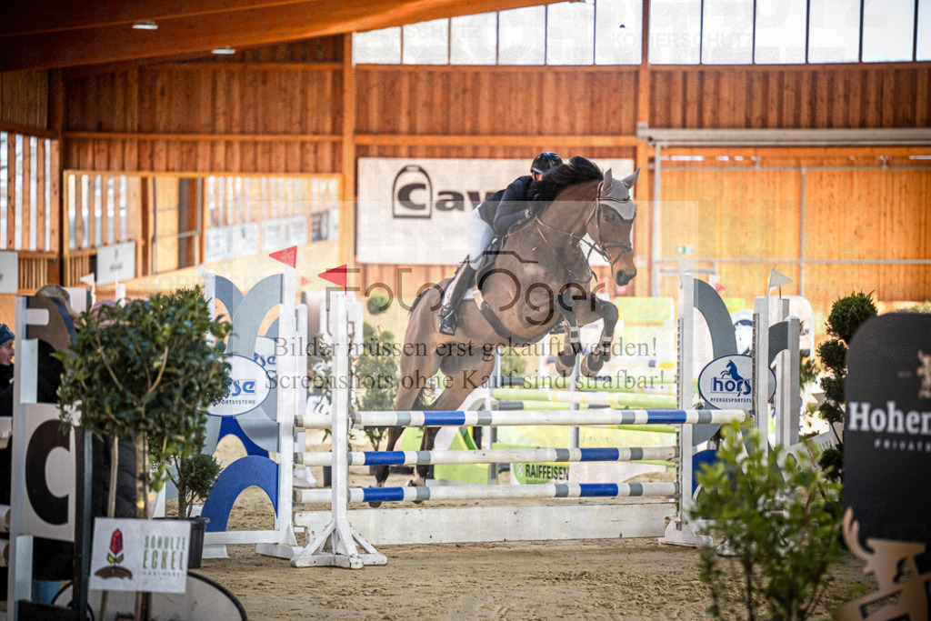 DOS_0780 | Entdecke hochwertige Reitturnierfotos von Foto Oger. Professionell, emotional und authentisch – jetzt Lieblingsmomente im Shop bestellen.Deutschlandweite Turnierfotografie. - Realisiert mit Pictrs.com
