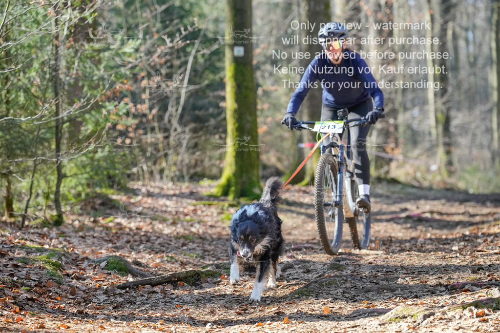 Bike_So-91 | stephaniefillaphotographie - Realisiert mit Pictrs.com