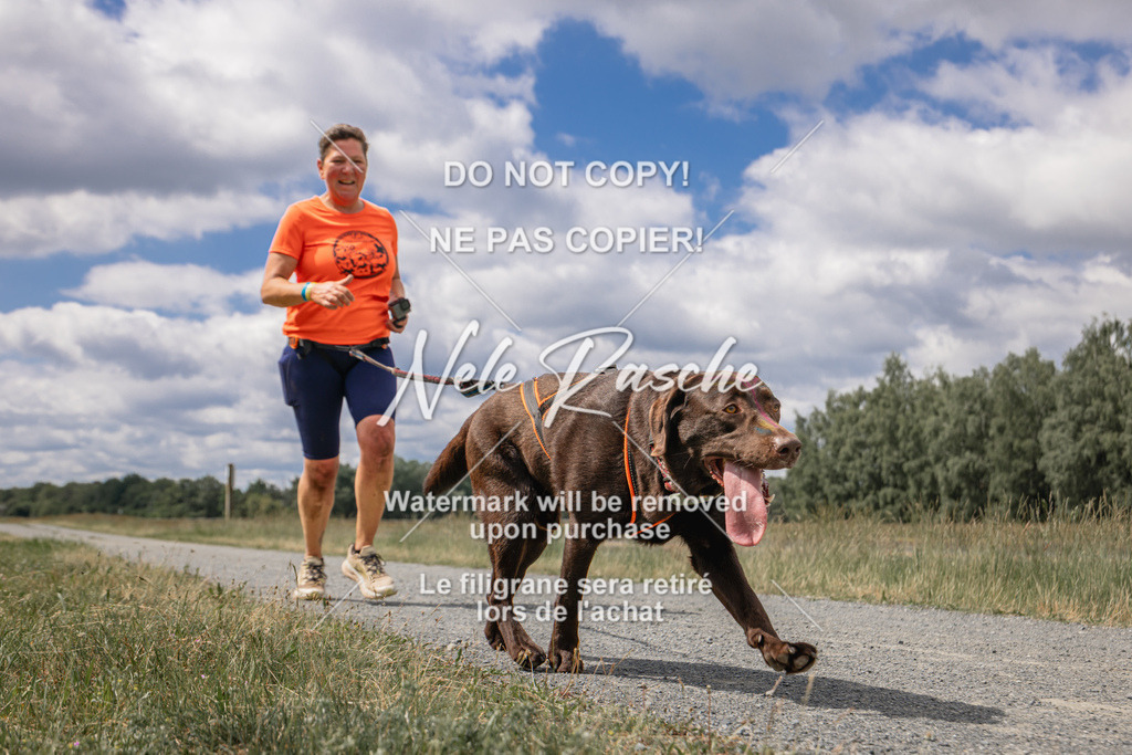 nelerasche_BuHu2026_SaCC1100-1200_189 | nelerasche