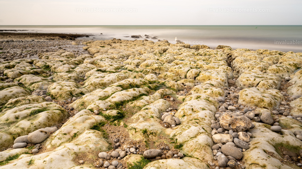 DSC_8219-2 | invaluablemoments.com - Realisiert mit Pictrs.com