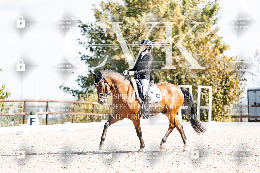 CK902693 | Turnierfotografie Pferdefotografie Trier Rheinland-Pfalz Pferdesport Reitsport Tierfotografie Sportfotografie Pferdevideo Pferdevideografie Equestrianvideography equestrianphotography  - Realisiert mit Pictrs.com