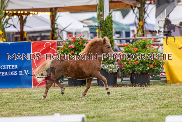 LTN 1 (22 von 918) | mandyhollmannphotographie