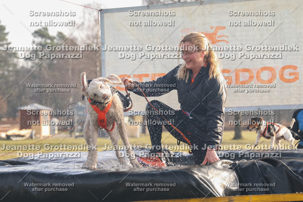Dog Paparazzi - SD North 0326 900930-191 | Dog Paparazzi Jeanette Grottendiek Fotografie & Videografie - Realisiert mit Pictrs.com
